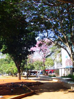 Fot da Praça Silvio Romero