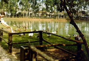 Parque do Piqueri em Tatuapé